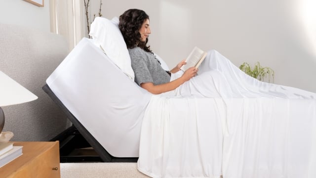 Talent in bed reading articulated head