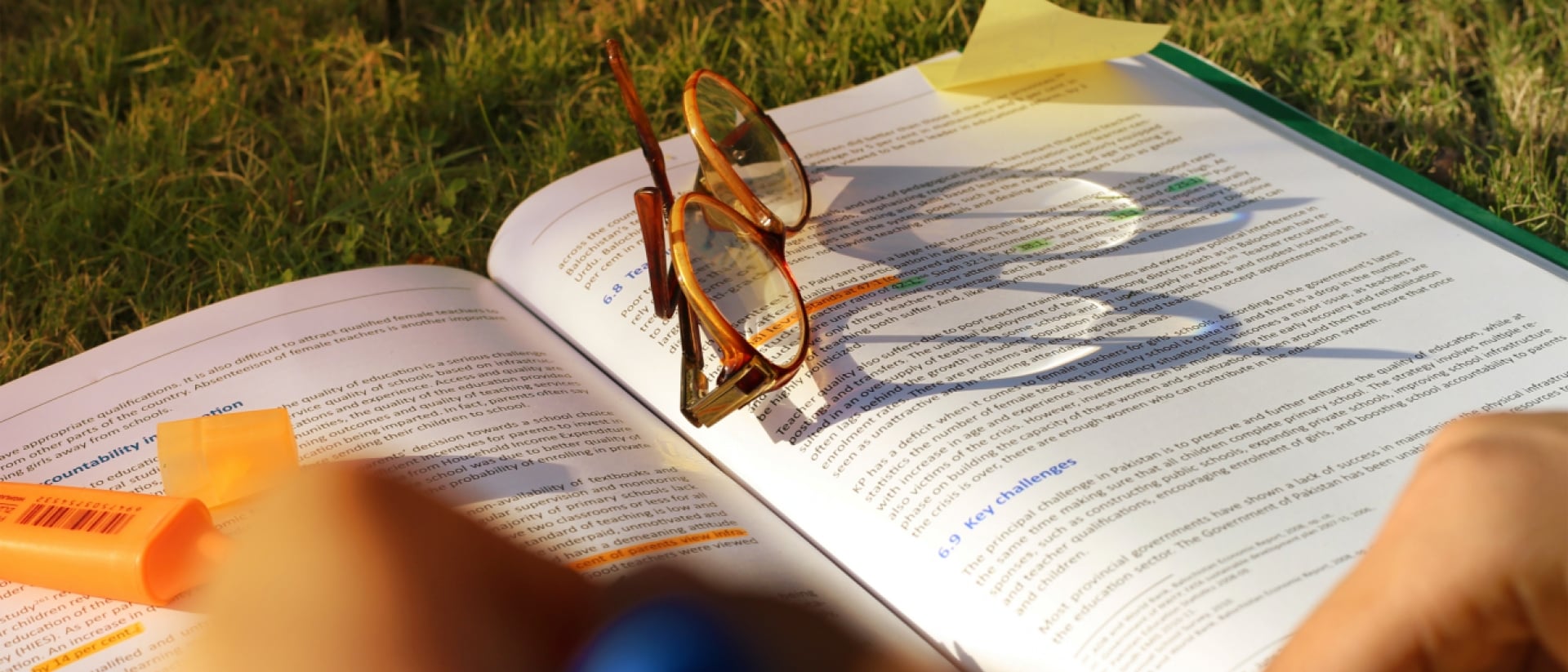 person studying